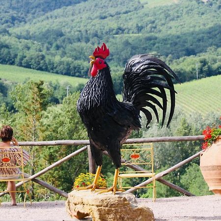 Agriturismo Borgo Il Bonagino رادا إنْ كيانتي المظهر الخارجي الصورة