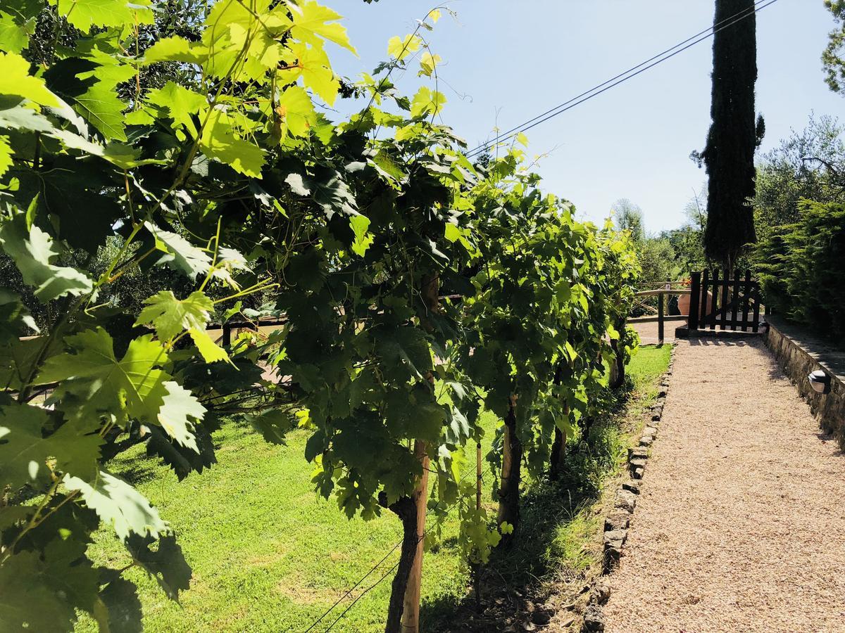 Agriturismo Borgo Il Bonagino رادا إنْ كيانتي المظهر الخارجي الصورة